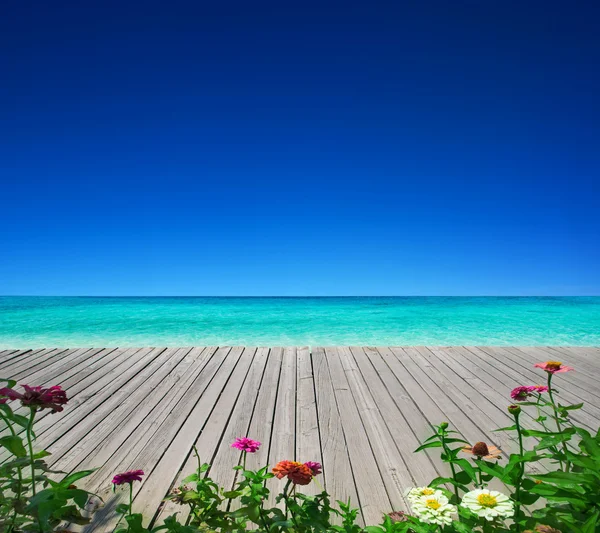 Strand en tropische zee — Stockfoto