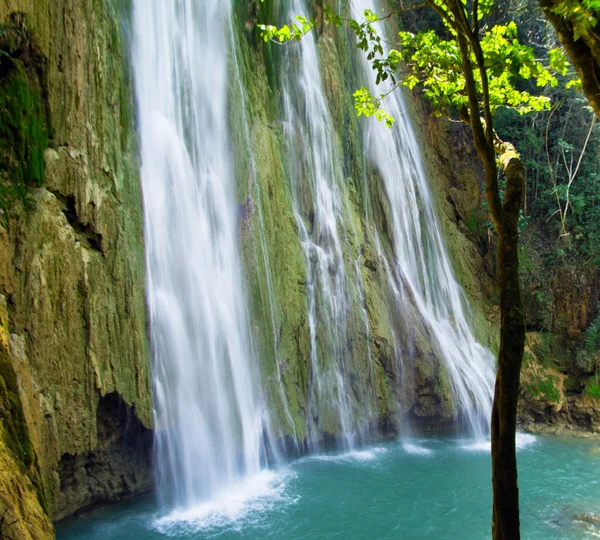 Cascada en bosque verde — Foto de Stock