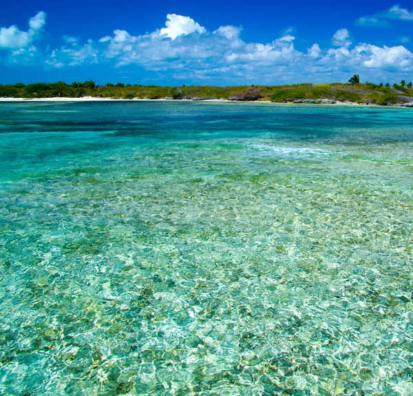 Stranden — Stockfoto