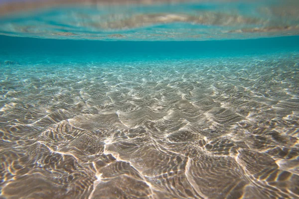 Tranquille scène sous-marine — Photo