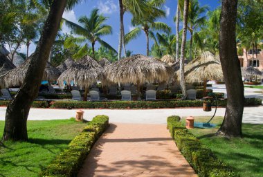 Çimenli bahçe taşı yolu