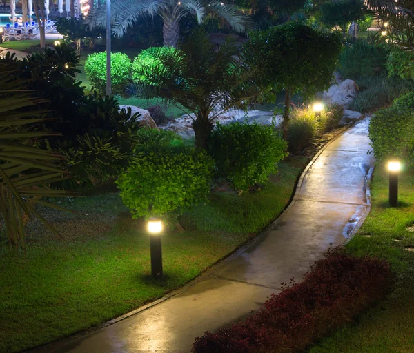 Garten bei Nacht — Stockfoto
