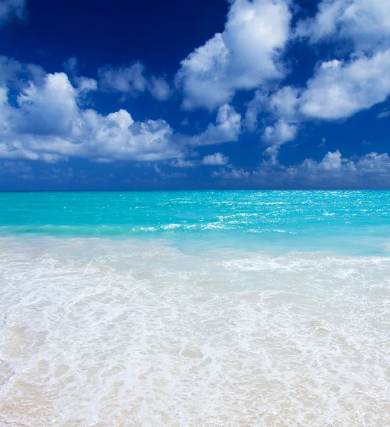 Spiaggia e mare tropicale — Foto Stock