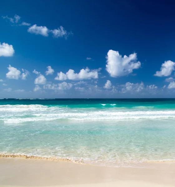 Spiaggia dei Caraibi — Foto Stock