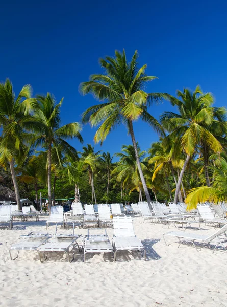 Tropical sea and blue sky — Stock Photo, Image