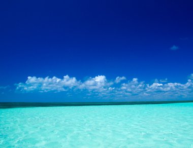 plaj ve tropikal deniz