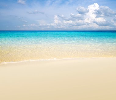 plaj ve tropikal deniz