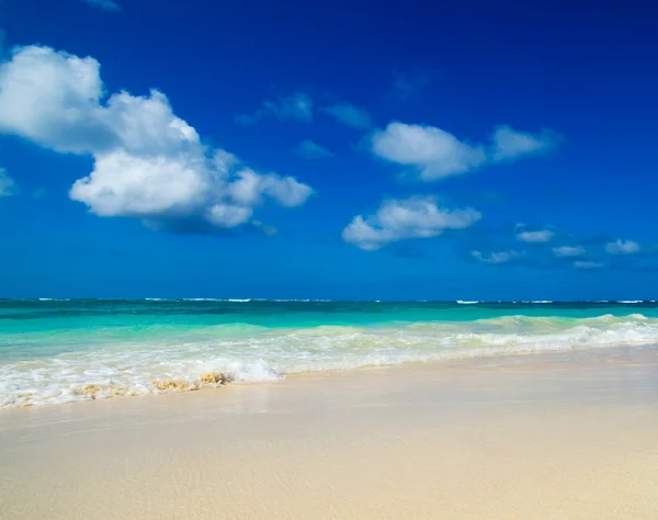 Spiaggia e mare tropicale — Foto Stock