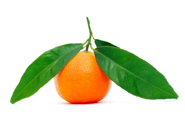 Mandarina jugosa fresca — Foto de Stock