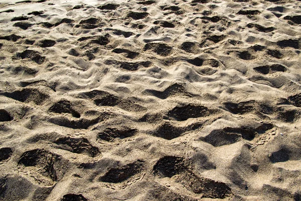 Close up shot of coral sand — Stock Photo, Image