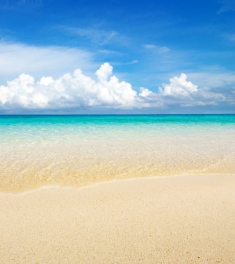 plaj ve tropikal deniz