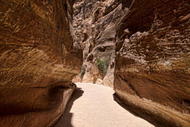 Kanyon Petra, Jordan