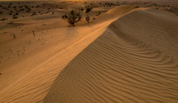 Пустынный пейзаж с закатом — стоковое фото