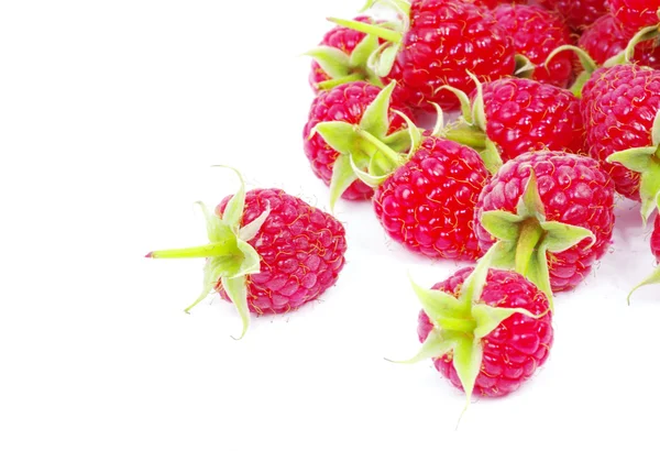 Red fresh raspberries — Stock Photo, Image