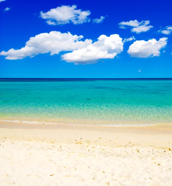 Beach and tropical sea — Stock Photo, Image