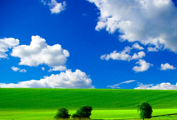 Wolken en veld — Stockfoto