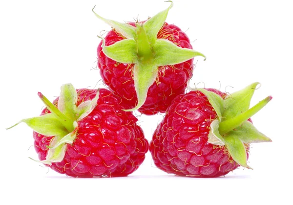 Reife frische Himbeeren — Stockfoto