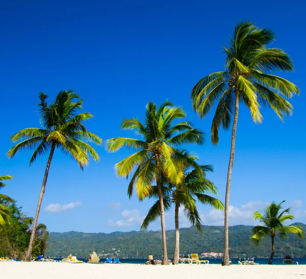 Beach and tropical sea — Stock Photo, Image