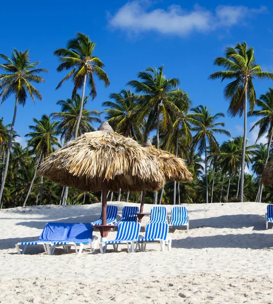 Caribisch strand — Stockfoto