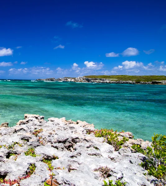 Mar del Caribe — Foto de Stock