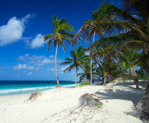 Praia e mar tropical — Fotografia de Stock