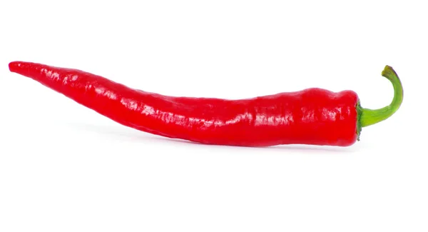 Chilipeppar — Stockfoto