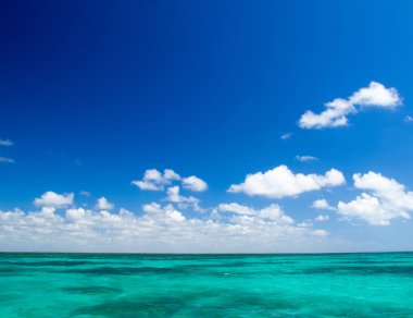 plaj ve tropikal deniz