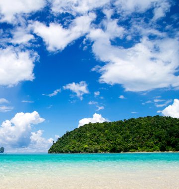 plaj ve tropikal deniz