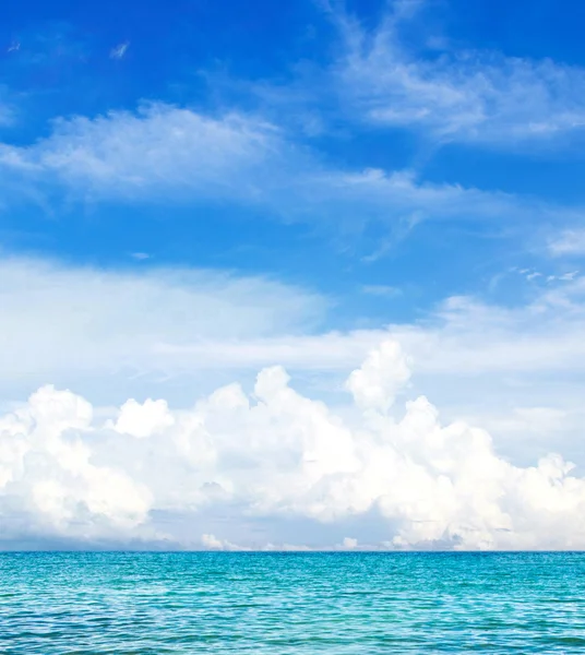 plaj ve tropikal deniz