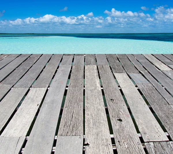 Beach and tropical sea — Stock Photo, Image