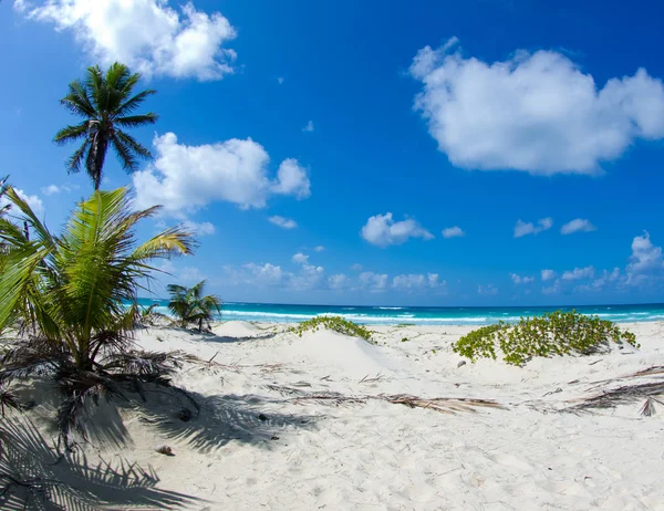 Spiaggia e mare tropicale — Foto Stock