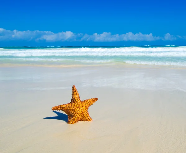 Praia e mar tropical — Fotografia de Stock