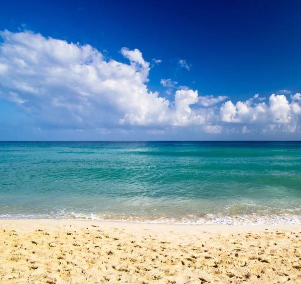 Caribische zee strand — Stockfoto