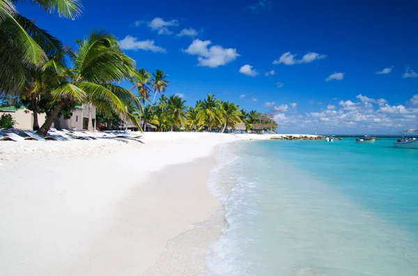 Palmen am tropischen Strand — Stockfoto