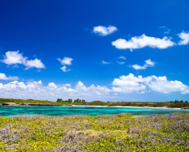 Beach Karayip Denizi