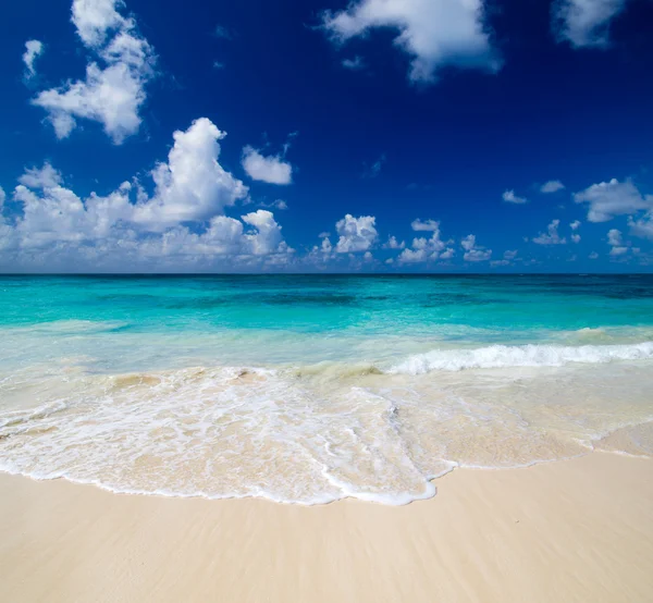 Beach and tropical sea — Stock Photo, Image