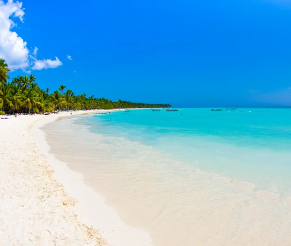 Praia e mar tropical — Fotografia de Stock