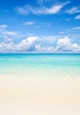 plaj ve tropikal deniz