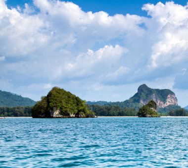 plaj ve tropikal deniz