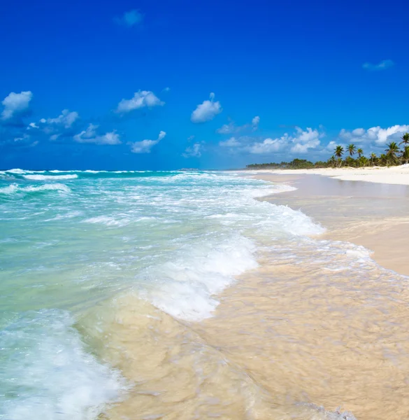 Caribbean sea beach — Stock Photo, Image