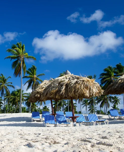 Beach chairs under a palm tree — Stock Photo, Image