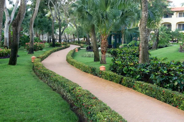 Giardino sentiero di pietra — Foto Stock