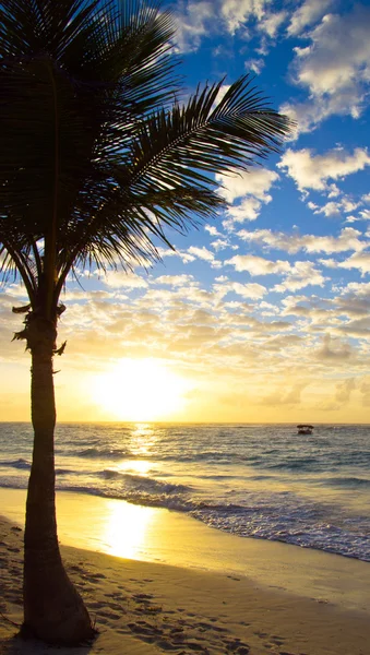 Denizin üstünde gün batımı