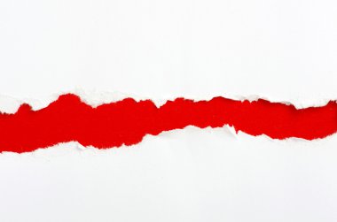 yırtık kağıt ile yer