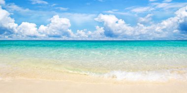 plaj ve tropikal deniz