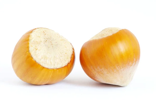 Raw  two hazelnuts — Stock Photo, Image