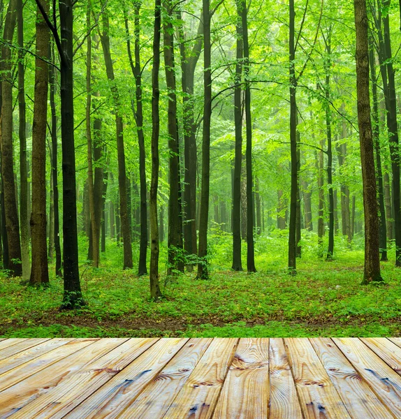 Forêt avec fond en bois — Photo