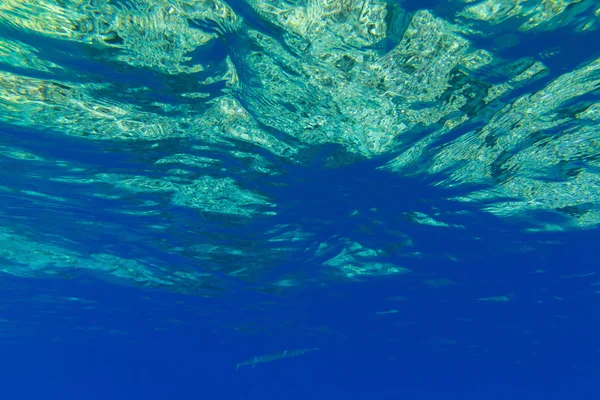 Podvodní panorama — Stock fotografie