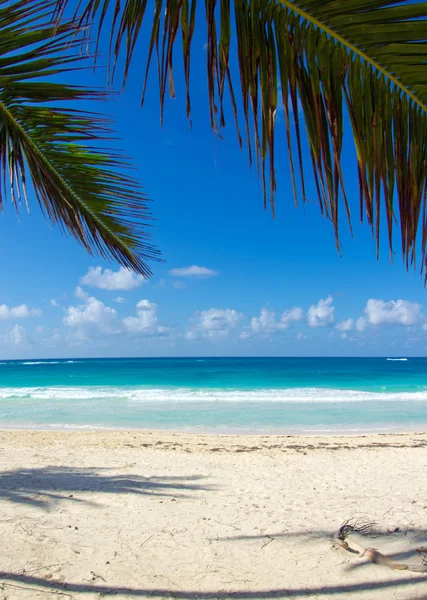 Spiaggia e mare tropicale — Foto Stock