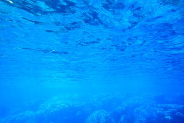 Sualtı mavi panorama